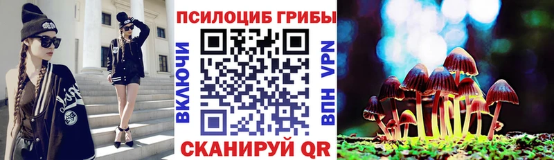 Галлюциногенные грибы мухоморы Дно